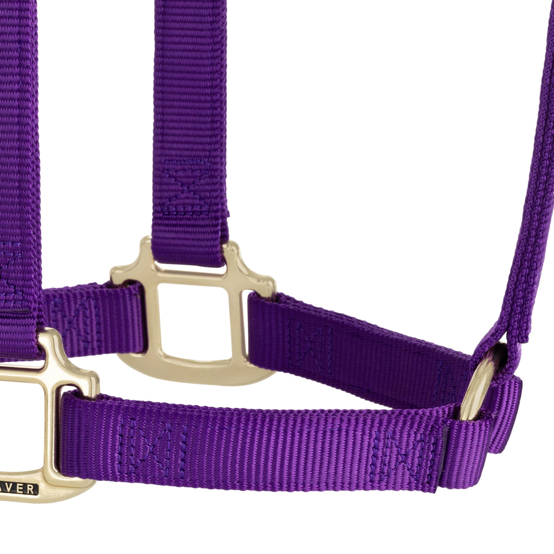 Pferde-Halfter Nylon 3-lagig Messing-Beschläge Grösse Small Lila - Bild 6