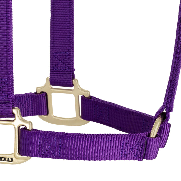 Pferde-Halfter Nylon 3-lagig Messing-Beschläge Grösse Small Lila - Bild 6