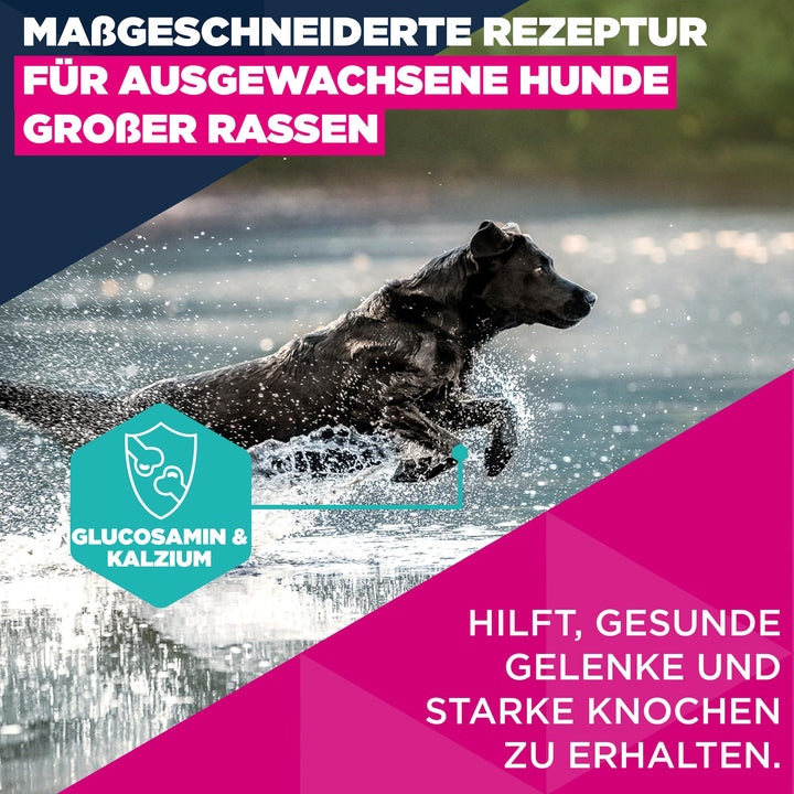 Trockenfutter grosse Rassen Huhn 15 kg – Gelenk &amp; Fell - Bild 3