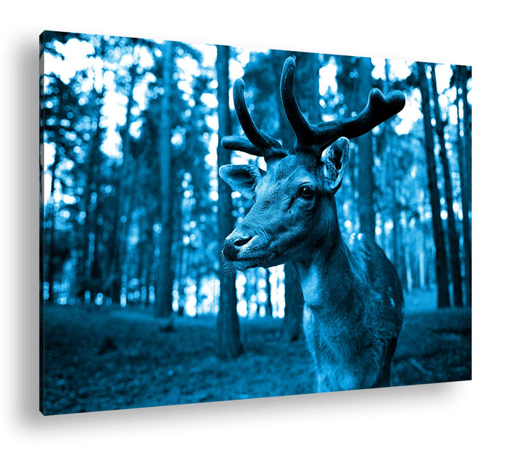 Leinwandbild Hirsch Monochrom Blau auf Echtholzrahmen 80x60 cm