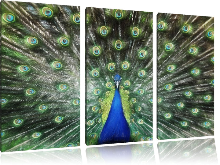 Leinwandbild 3-teilig Pfau Buntstift-Effekt 120x80 cm aufgespannt