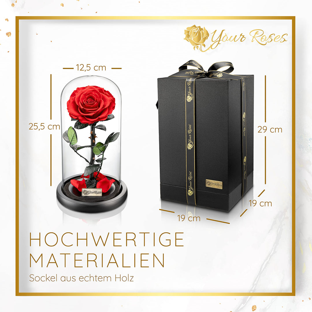 Echte Rose im Glas mit Geschenkbox Rot – Romantisches Geschenk - Bild 5