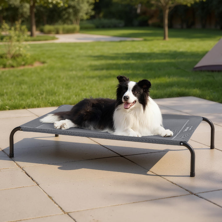 Hundeliege erhöht Outdoor Grau 124x80 cm bis 38 kg - Bild 6