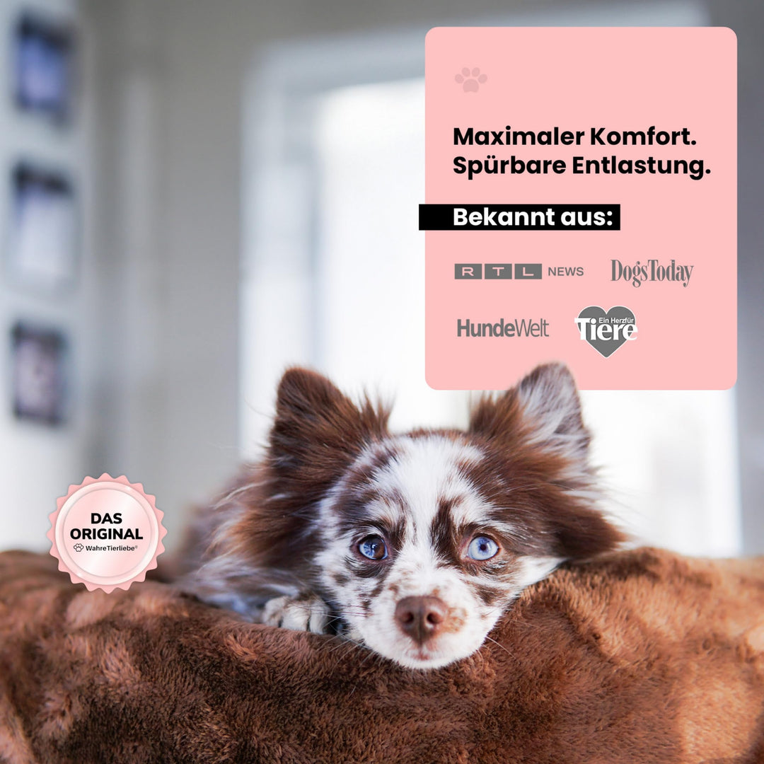 Orthopädisches Hundebett mit hohem Rand, waschbar, Made in Germany - Bild 5