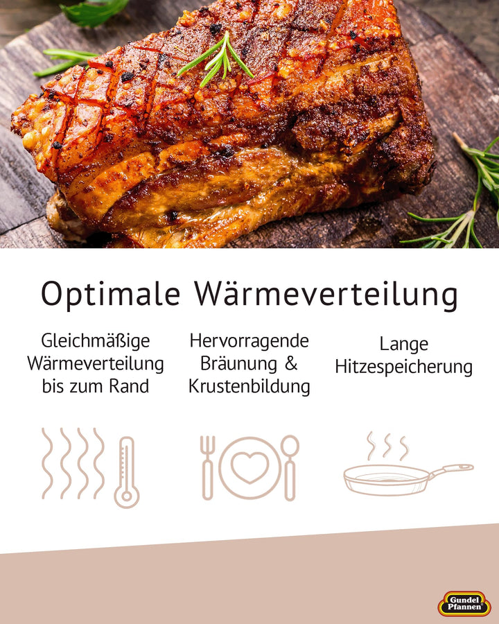 Gussdeckel Grillpfanne Induktion Titan-Keramik 41,5x28,5 cm - Bild 3