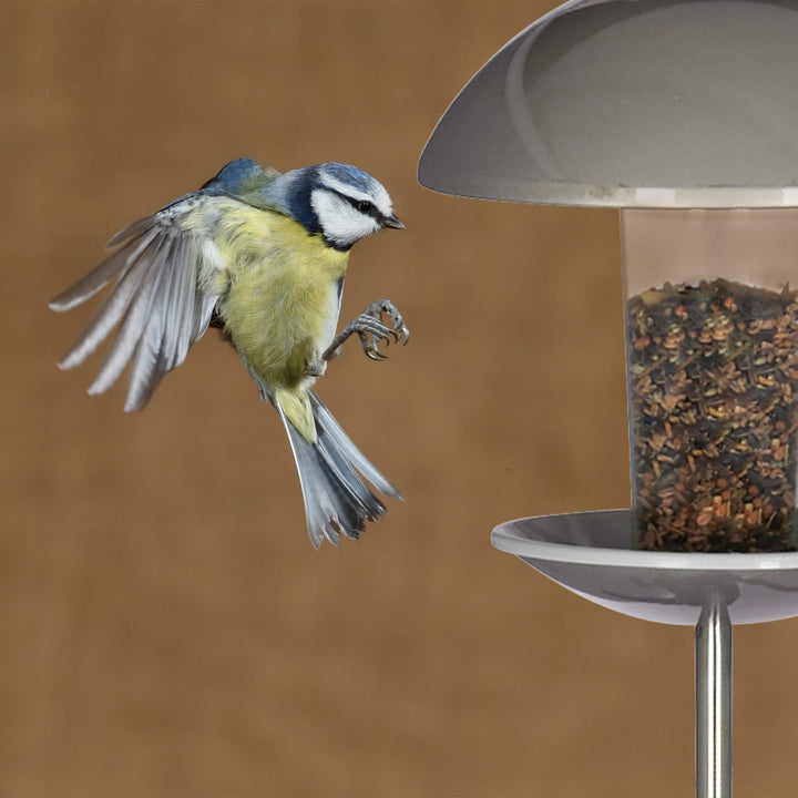 Vogelfutterspender Silo Kunststoff Edelstahl hängend oder stehend - Bild 6