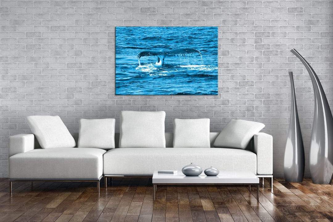 Leinwandbild Walschwanzflosse Monochrom Blau 80x60 cm Echtholz - Bild 2
