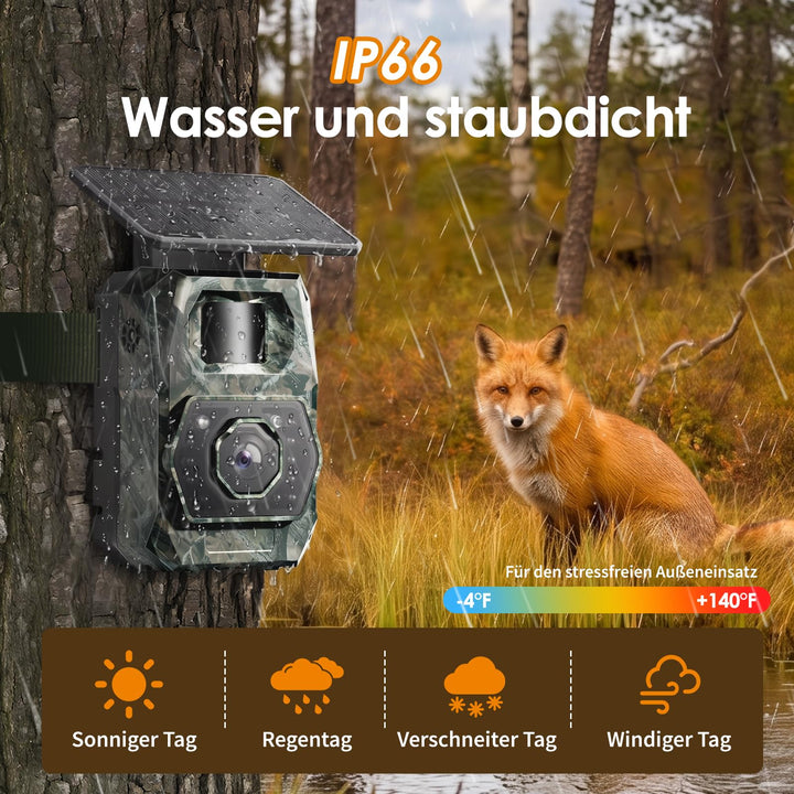 Wildkamera Solar 4K 64MP mit App-Steuerung und Nachtsicht - Bild 7