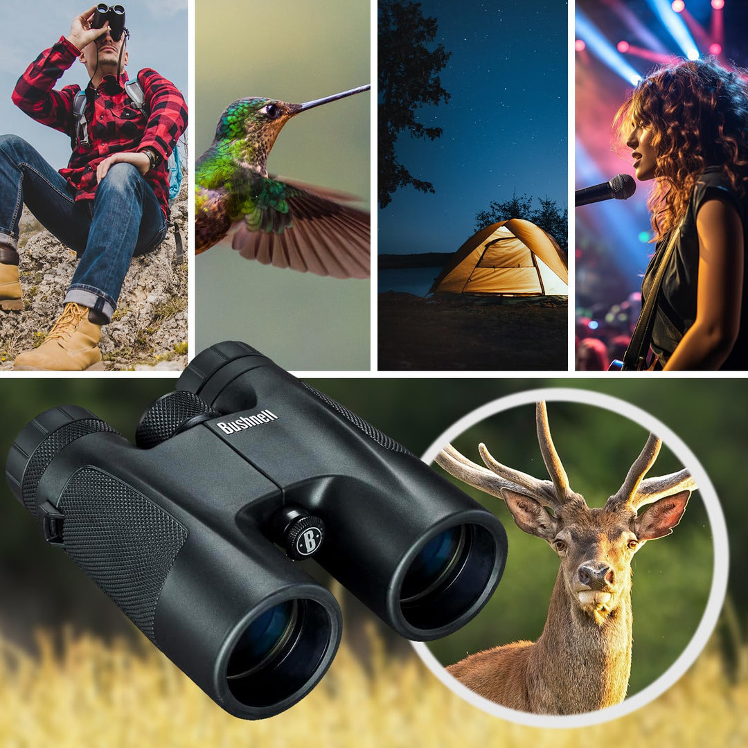 Fernglas 10x42 mehrfach beschichtet für Outdoor &amp; Konzert - Bild 3