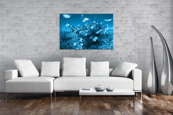 Leinwandbild Kornblumen Blau Monochrom 80x60 cm Echtholzrahmen - Bild 2