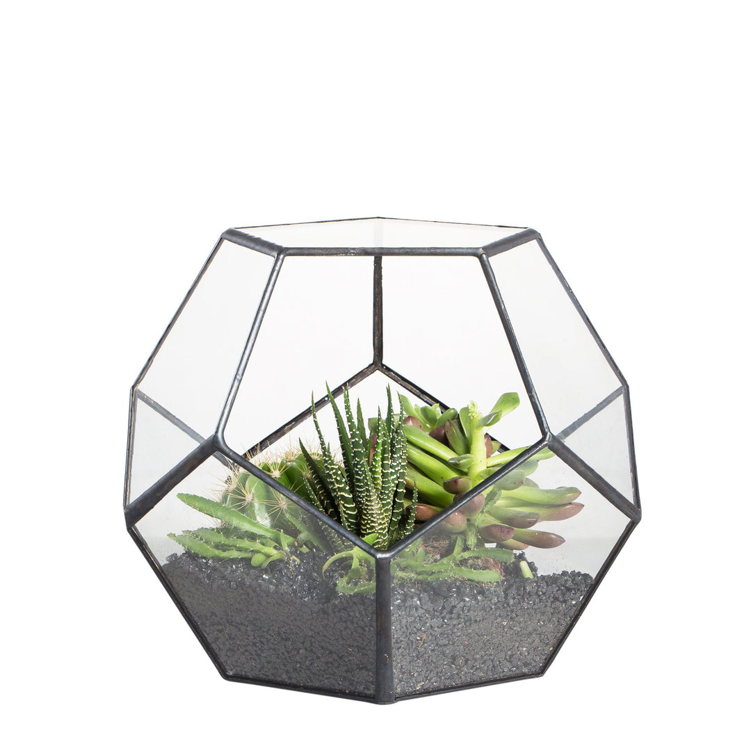 Glas-Terrarium Dodekaeder geometrisch 17,5x15 cm für Sukkulenten