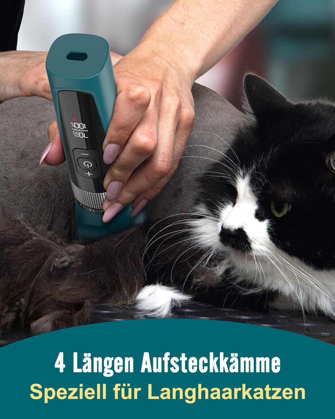 Katzenschermaschine leise 5 Geschwindigkeiten LCD IPX6 Profi - Bild 2