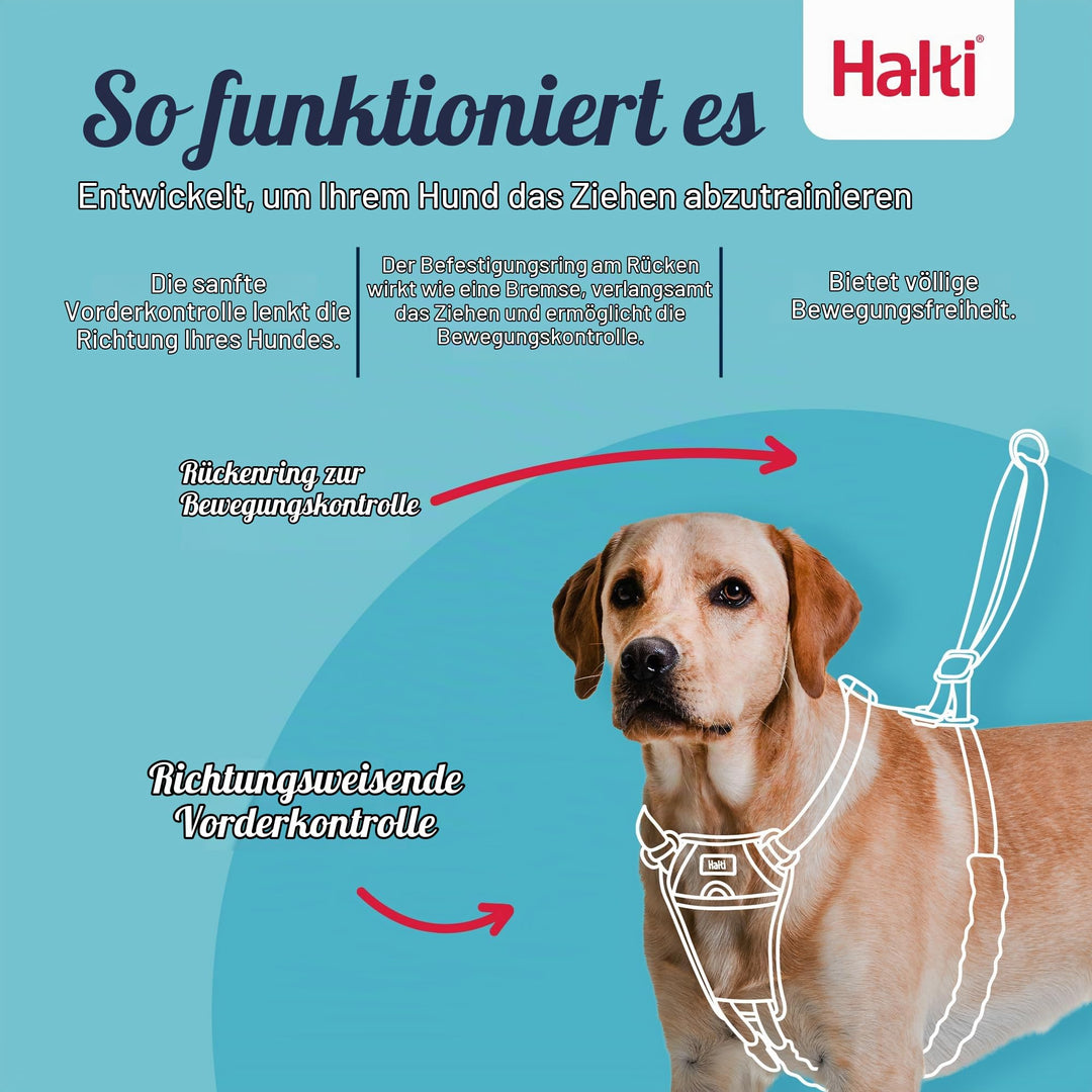 Anti-Zug Hundegeschirr mit Trainingsleine Set Medium Schwarz - Bild 2