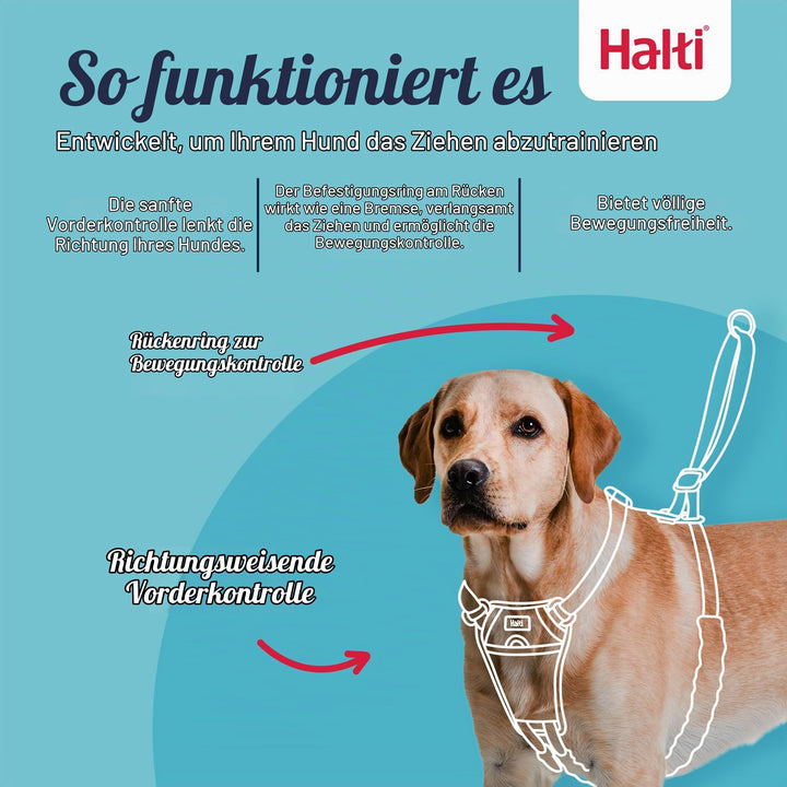 Anti-Zug Hundegeschirr mit Trainingsleine Set Medium Schwarz - Bild 2