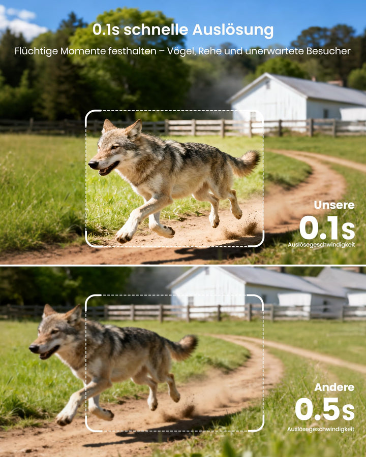 Wildkamera Solar 4K 64MP mit App-Übertragung ohne Abo - Bild 7