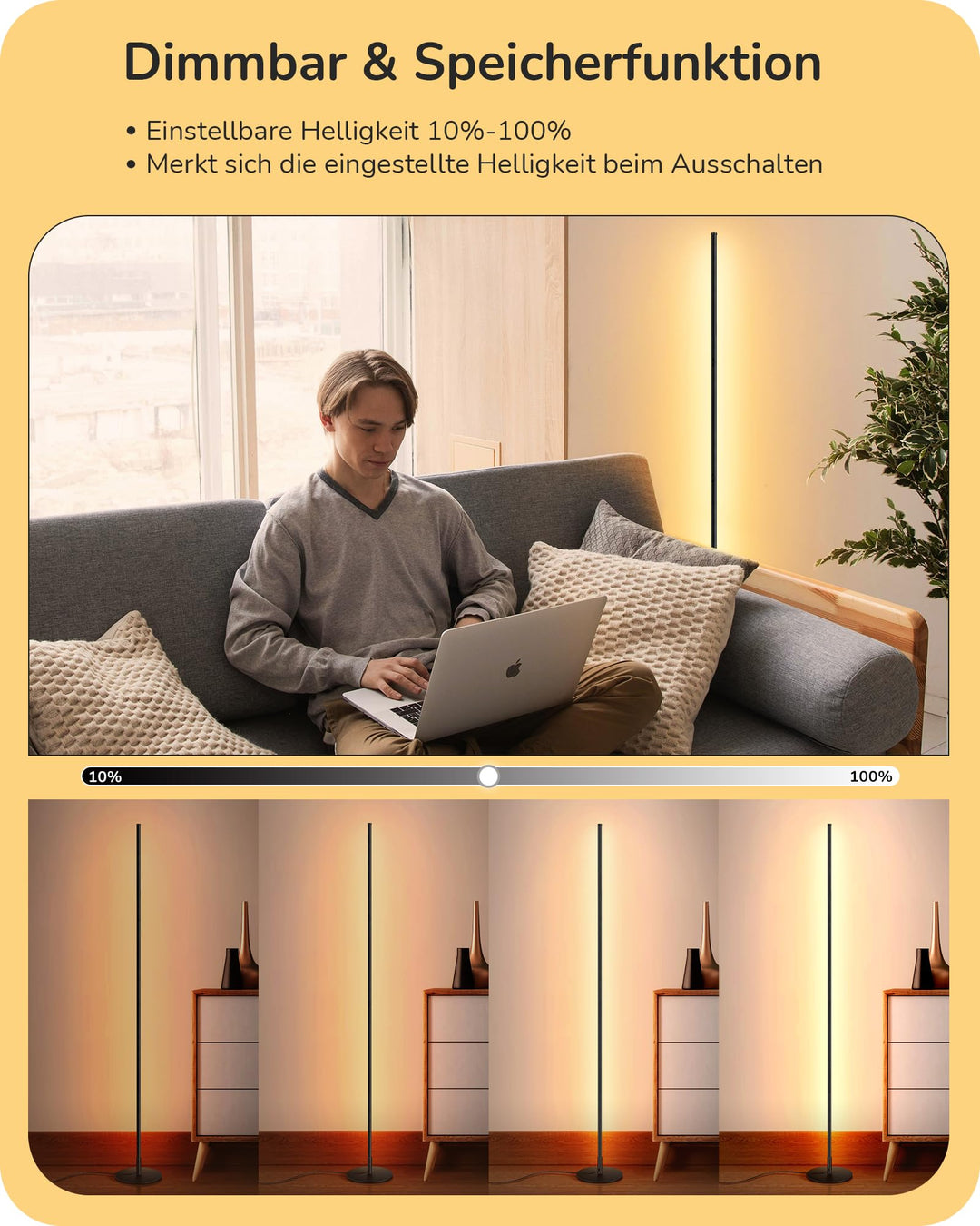 Stehlampe 2er-Set dimmbar höhenverstellbar Schwarz Metall