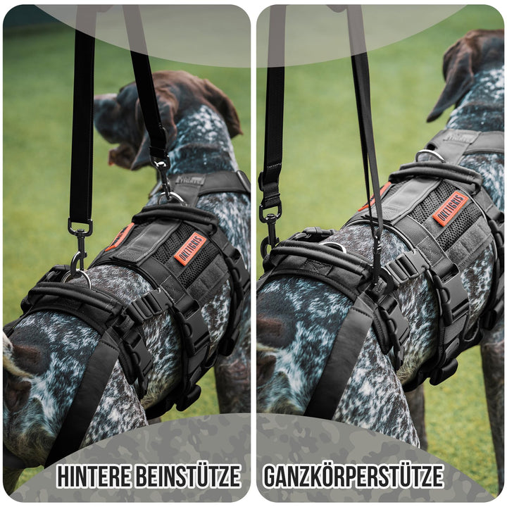 Hundegeschirr Hebegeschirr 2 Griffe Rehabilitation Grosse Hunde - Bild 3