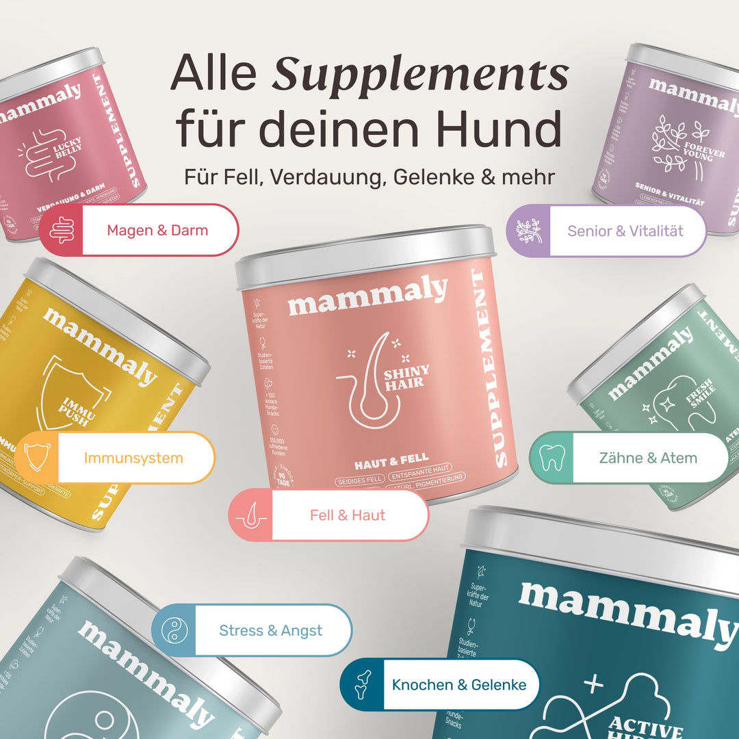 Fellpflege-Snacks Hund mit Nachtkerzenöl, Biotin &amp; Bierhefe 60 Tage - Bild 9
