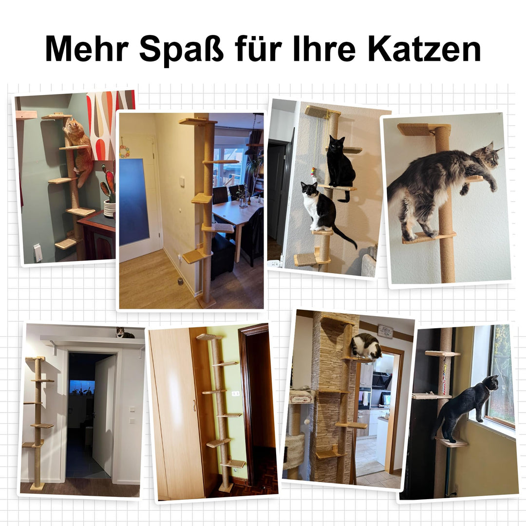Katzenbaum Deckenhoch 206 cm Gummibaumholz Wandmontage 5 Etagen - Bild 7