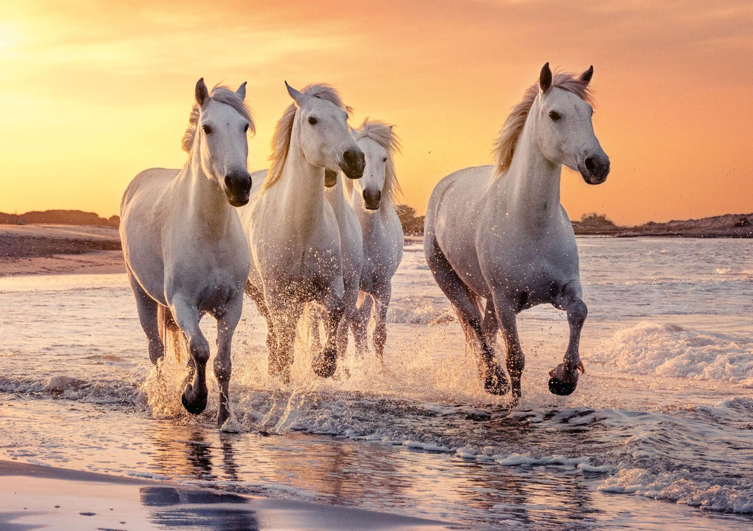 Pferde-Puzzle Camargue 1000 Teile, 68x48 cm, Premium-Pappe