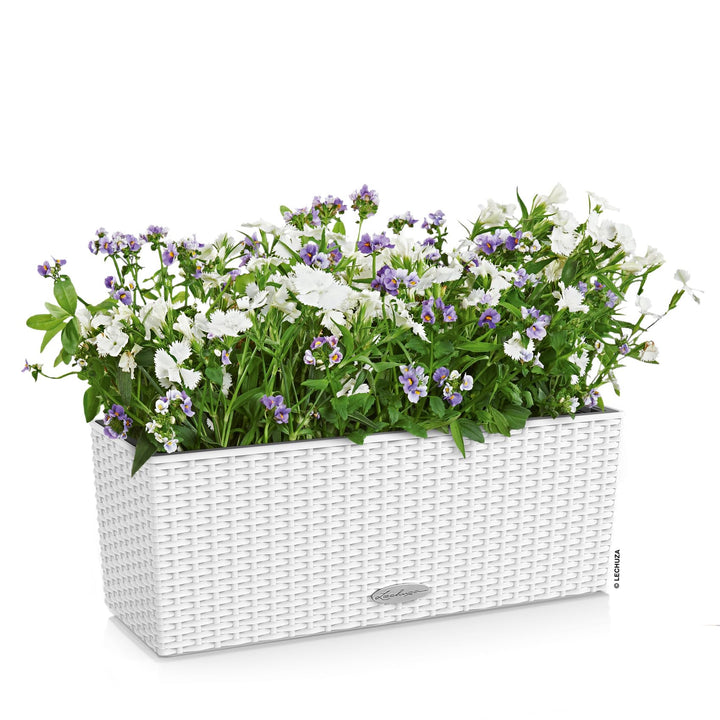 Balkonkasten mit Bewässerungssystem Flechtoptik 50cm Weiss Innen/Aussen - Bild 2