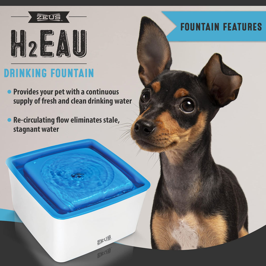 Hundetrinkbrunnen BPA-frei mit Filter 1,5 L für kleine Rassen - Bild 2