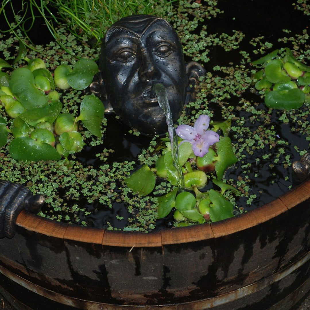 Wasserspeier Gargoyle Gusseisen mit Pumpe 230V für Miniteich - Bild 3