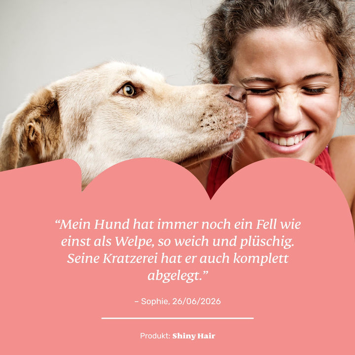 Fellpflege-Snacks Hund mit Nachtkerzenöl, Biotin &amp; Bierhefe 60 Tage - Bild 8