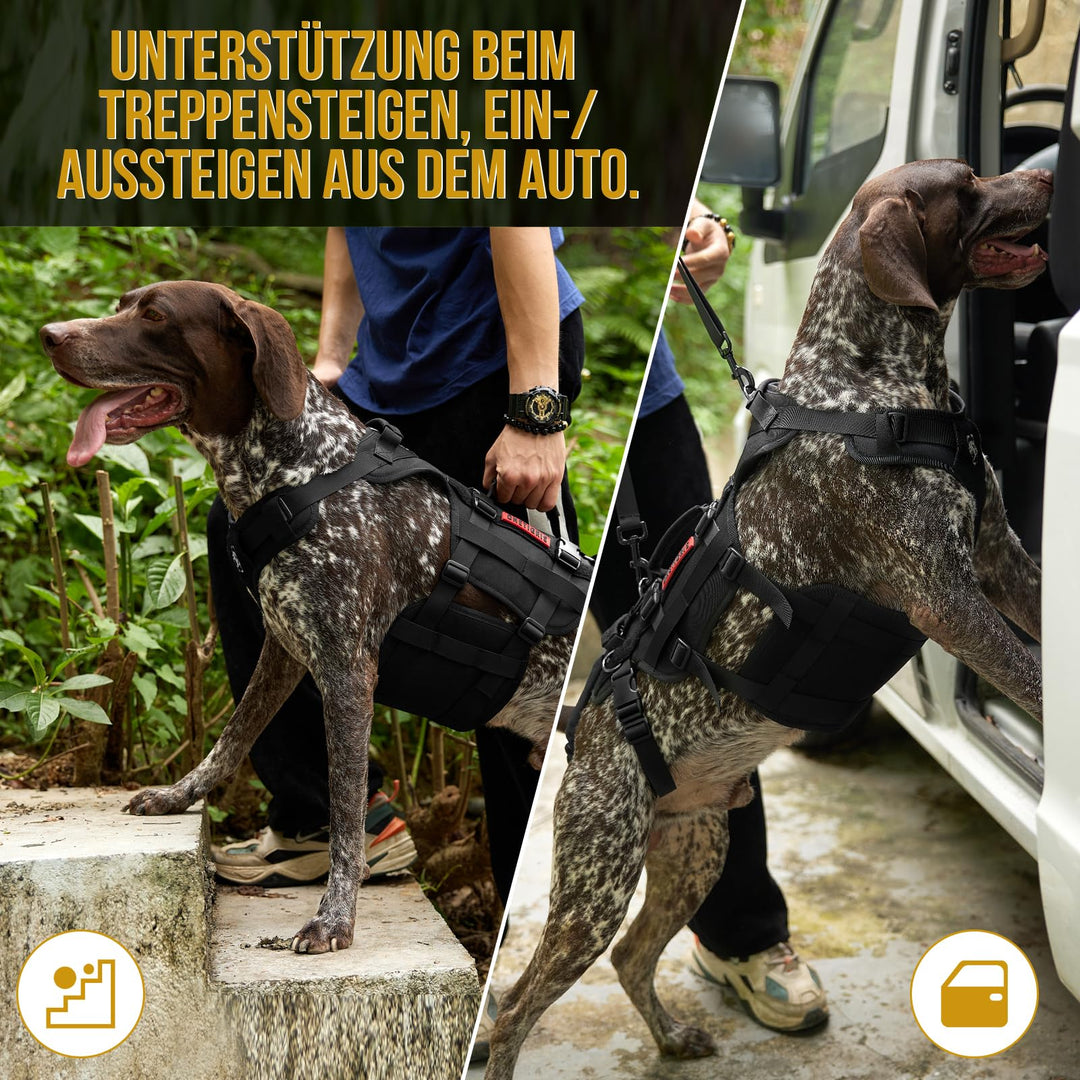 Hunde-Tragehilfe Nylon 3 Griffe für ältere &amp; verletzte Hunde L - Bild 6