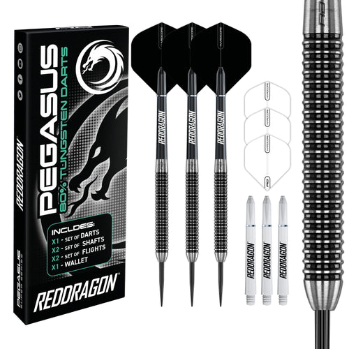 Steeldarts 80% Tungsten 25g mit Flights, Schäften & Etui
