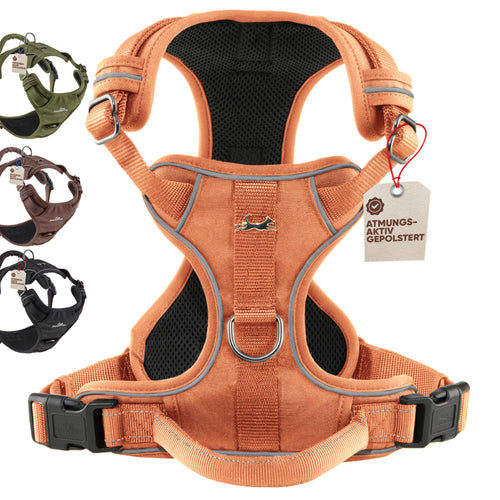 Hundegeschirr Anti-Zug Mesh gepolstert wasserabweisend Orange