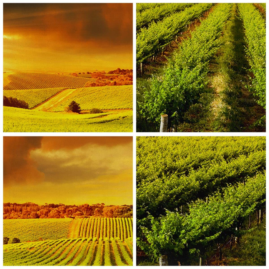 Leinwandbild Landschaft Natur 120x50cm aufhängefertig - Bild 5