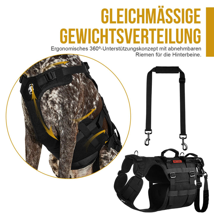 Hunde-Tragehilfe Nylon 3 Griffe für ältere &amp; verletzte Hunde L - Bild 4