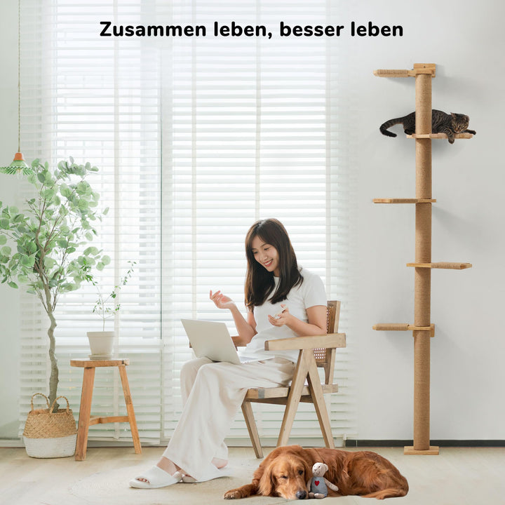 Katzenbaum Deckenhoch 206 cm Gummibaumholz Wandmontage 5 Etagen - Bild 2