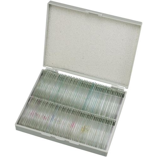 Mikroskop Dauerpräparate 100x Glas mit Deckglas Biologie Set