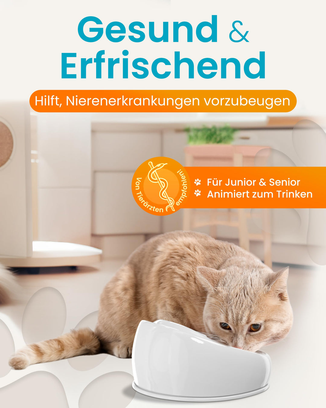 Katzenbrunnen Keramik Handarbeit plastikfrei grau, leise Pumpe - Bild 4