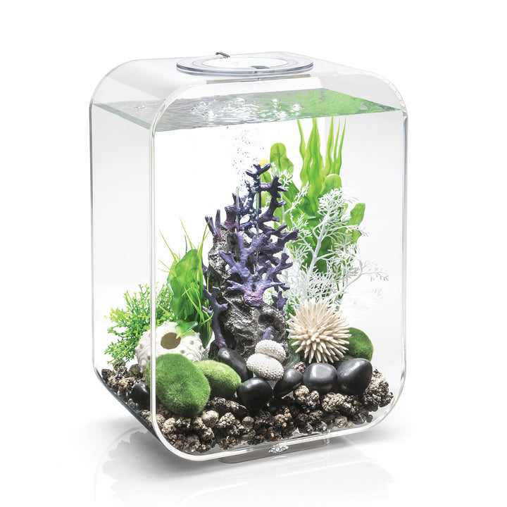 Aquarium-Komplett-Set Acryl 15 L mit LED und Filtersystem