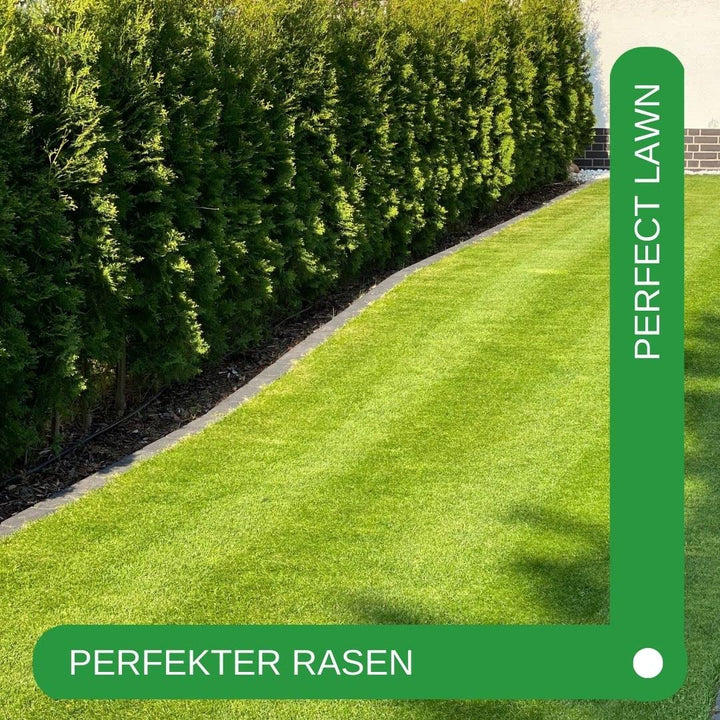 Rasenrakel Edelstahl V2A 80x30cm zum Sanden und Nivellieren - Bild 4