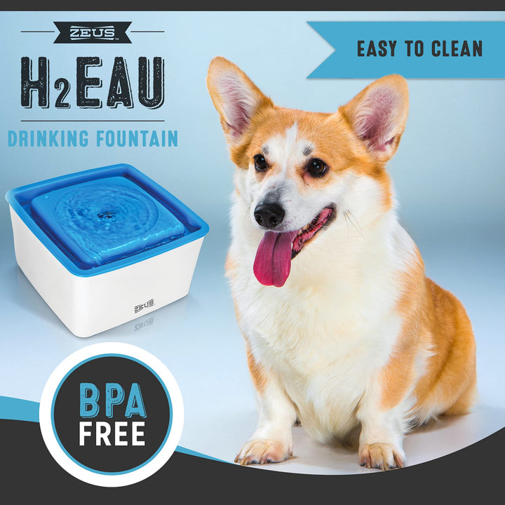 Hundetrinkbrunnen BPA-frei mit Filter 1,5 L für kleine Rassen - Bild 6