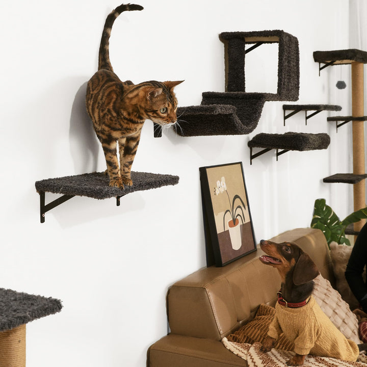 Katzen Kletterwand Set 10-teilig Multiplexholz mit Hängematte bis 18 kg - Bild 4