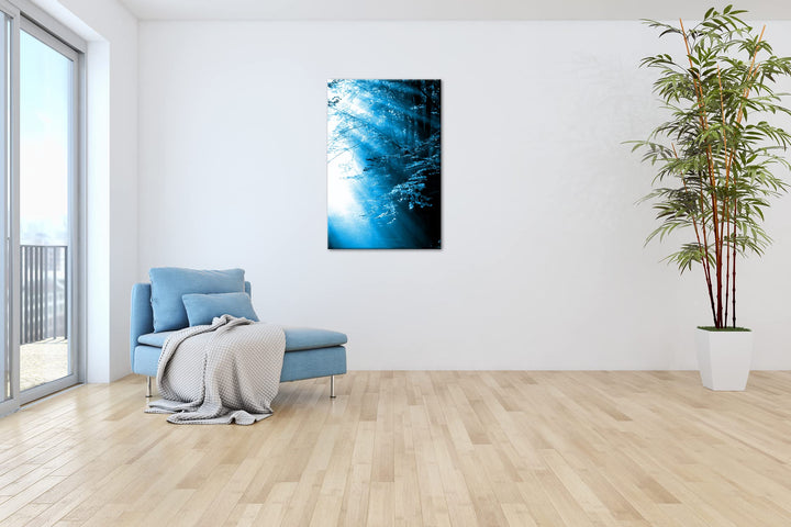 Leinwandbild Herbstwald Sonnenstrahlen Monochrom Blau 80x60 cm - Bild 4