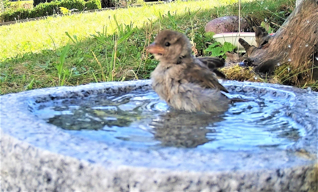 Vogelbad Granit Schale frostsicher 35 cm für Garten - Bild 7