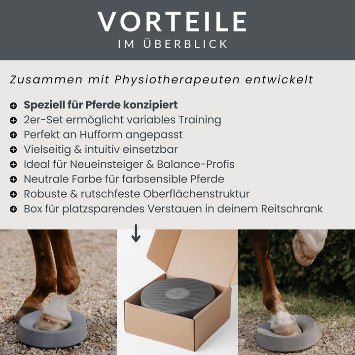 Balance Pad Pferd 2er-Set Dunkelgrau 28x28x6 cm Bodenarbeit - Bild 3