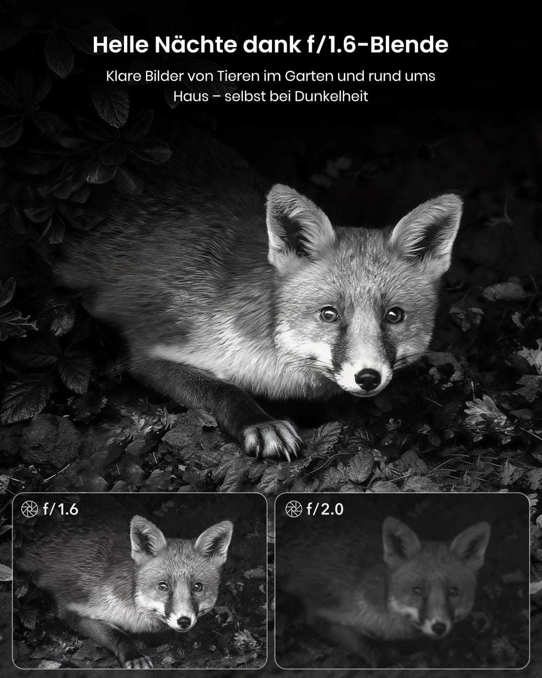 Wildkamera Solar 4K 64MP mit App-Übertragung ohne Abo - Bild 5