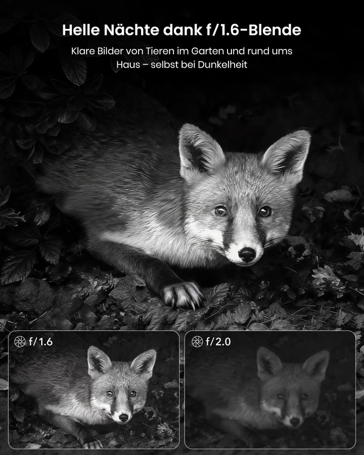 Wildkamera Solar 4K 64MP mit App-Übertragung ohne Abo - Bild 5