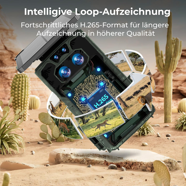 Solar-Wildkamera WLAN Dualobjektiv 60MP 4K Starlight-Nachtsicht - Bild 6