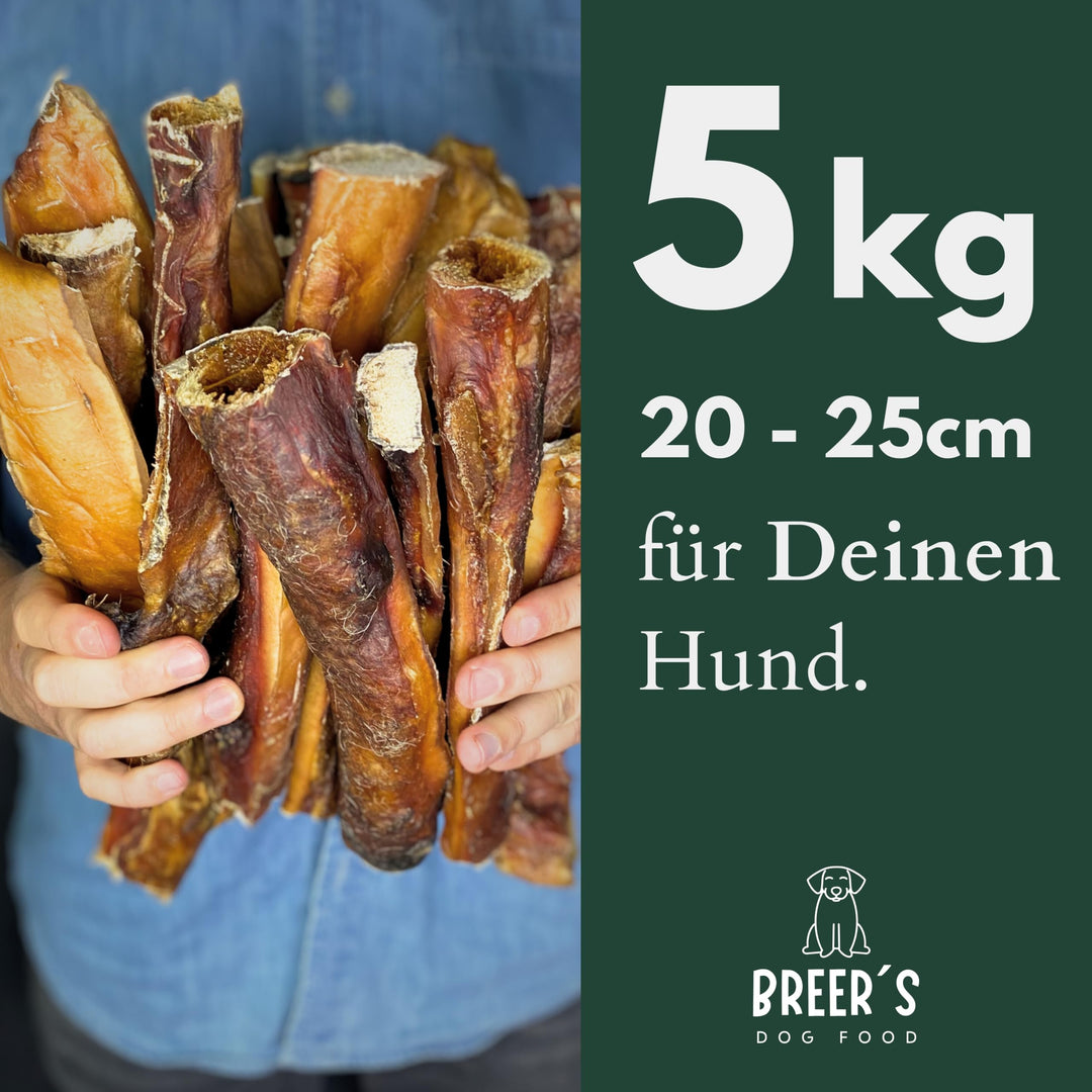 Rinderkopfhaut getrocknet für Hunde 25cm getreidefrei 5kg - Bild 2