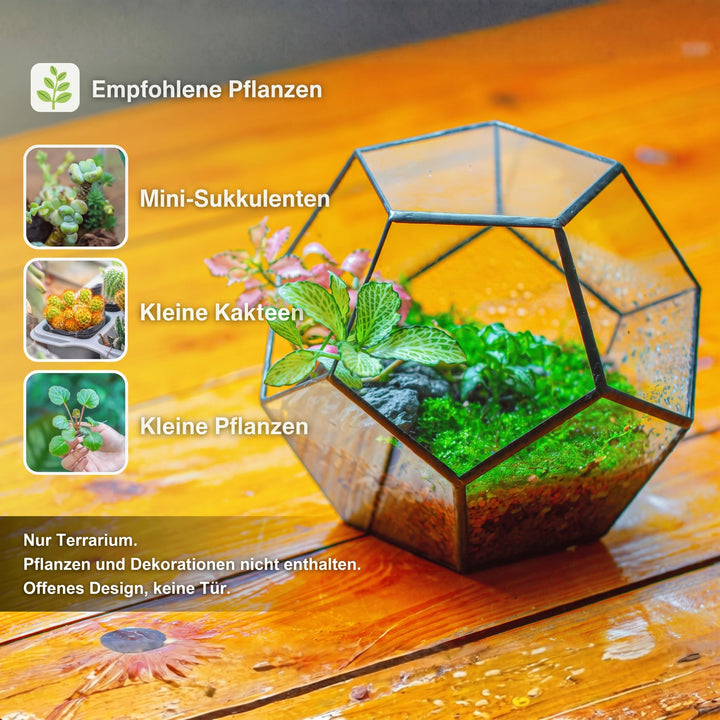 Glas-Terrarium Dodekaeder geometrisch 17,5x15 cm für Sukkulenten - Bild 2
