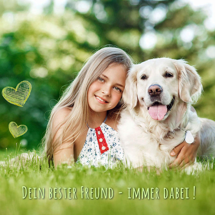 Hundehalsband Echtleder geflochten 30mm breit XL 47-58 cm - Bild 8