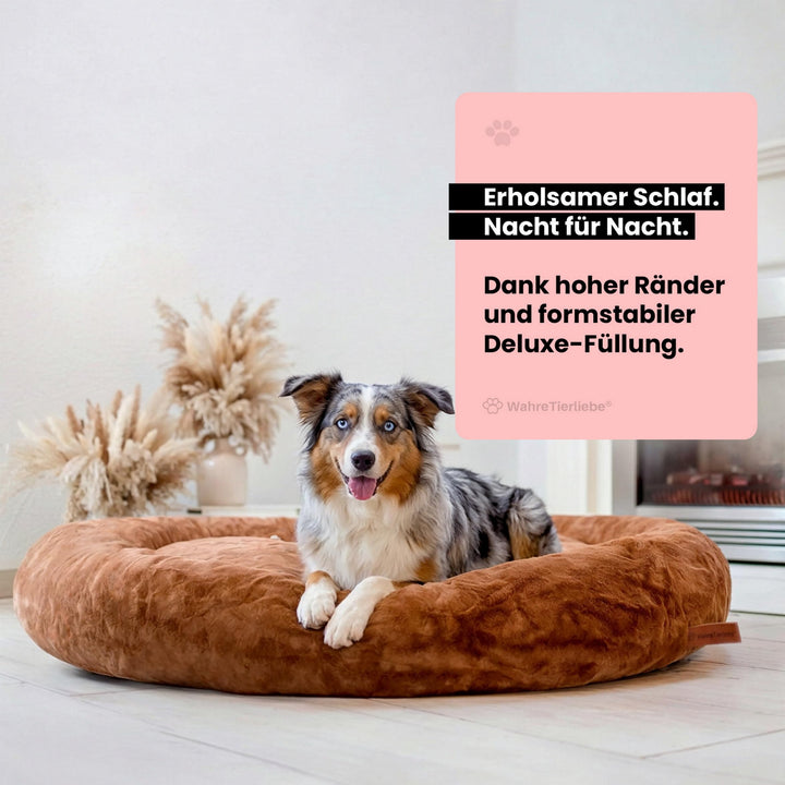 Orthopädisches Hundebett mit hohem Rand, waschbar, Made in Germany - Bild 3